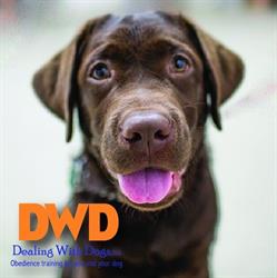 Dealing with Dogs, Ltd.