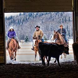 Miworth Equestrian Center