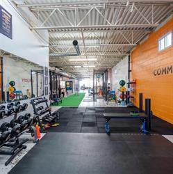Iron Lion Training/ Adapt For Life Training Systems