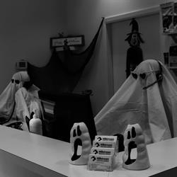 Millstream Veterinary Hospital