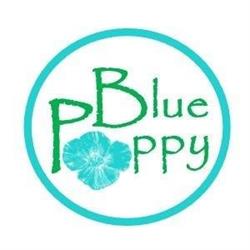 Blue Poppy