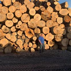 Lakeshore Forest Products Ltd.