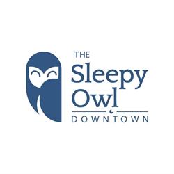 The Sleepy Owl