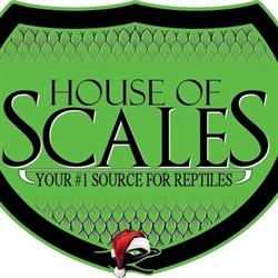 House of Scales