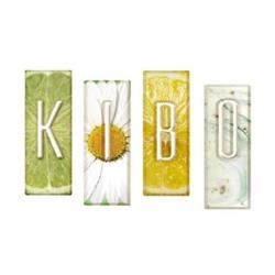 Kibo Natural Body Care Products Inc