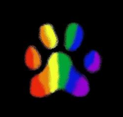 Pawcasso Pet Salon