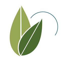 Landmark Wellness