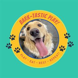 Bark Park Sylvan Lake