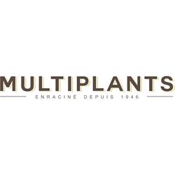 Multiplants