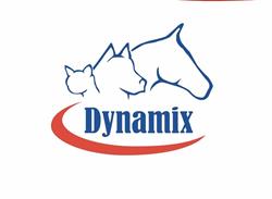 Dynamix Pont-Rouge