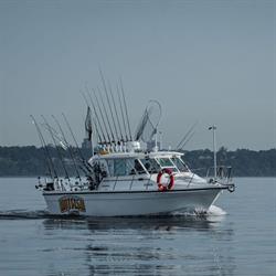 KINGS ON THE RUN Sport Fishing