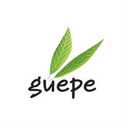 Administrative office of GUEPE
