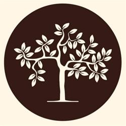 Serendipity Massage Therapy