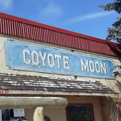 Coyote Moon