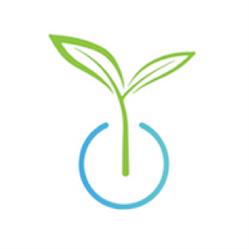 Renewed Hope Counselling