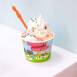 Tutti Frutti Frozen Yogurt