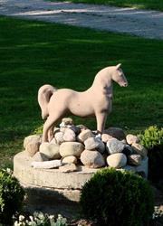 Stone Horse Farm