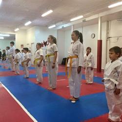 Dennis Gray's Simcoe Martial Arts