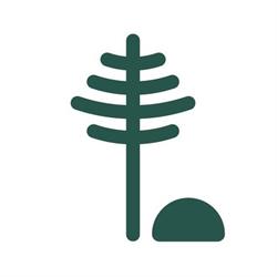 Stick and Stone Cannabis Co.