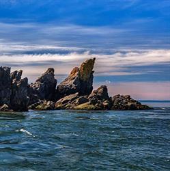 Advocate Boat Tours