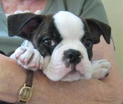 Keswick Veterinary Clinic