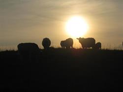 Inverlea Farm
