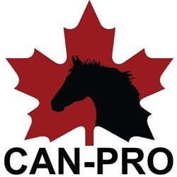 Can Pro Equestrian Supply