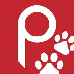 Paws in the Bath Dog Grooming