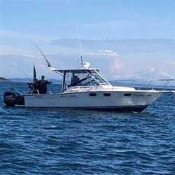 No Bananas Fishing Charters