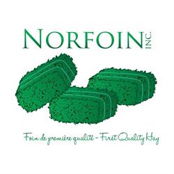 Norfoin Inc.