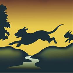 Wild Thyme Dogs