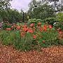 Picturesque gardens for events in Ontario Picturesque gardens for events in Ontario
