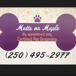 Mutts On Maple