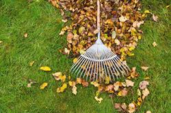 Atlantic Horticultural Services
