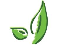 Équilibre Santé Donnacona