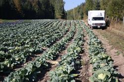 Cariboo Growers Farm