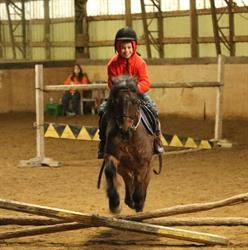Sunnylee Stables