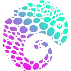 Chameleon Digital Media Agency