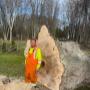 Another large tree cut down by C&D Excavating and Tree Service Another large tree cut down by C&D Excavating and Tree Service