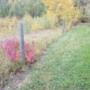 Photo Photo
