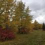Photo Photo