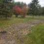 Photo Photo
