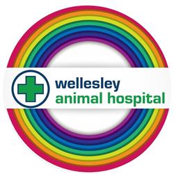 Wellesley Animal Hospital
