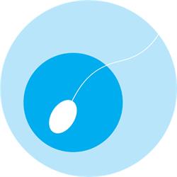 ELITE IVF