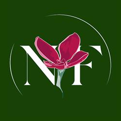 Nectar Flowers Ottawa