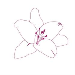 LILLIE FINANCIAL