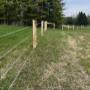 Coated wire fencing.
Top and bottom wires electrified, wires 2 & 3 not. Insulators can be seen.
Shows corner bracing. Coated wire fencing.
Top and bottom wires electrified, wires 2 & 3 not. Insulators can be seen.
Shows corner bracing.