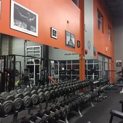 Murph’s Gym