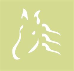 Horse Spirit Connections