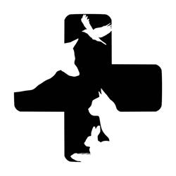 Lacoste Animal Hospital Brampton